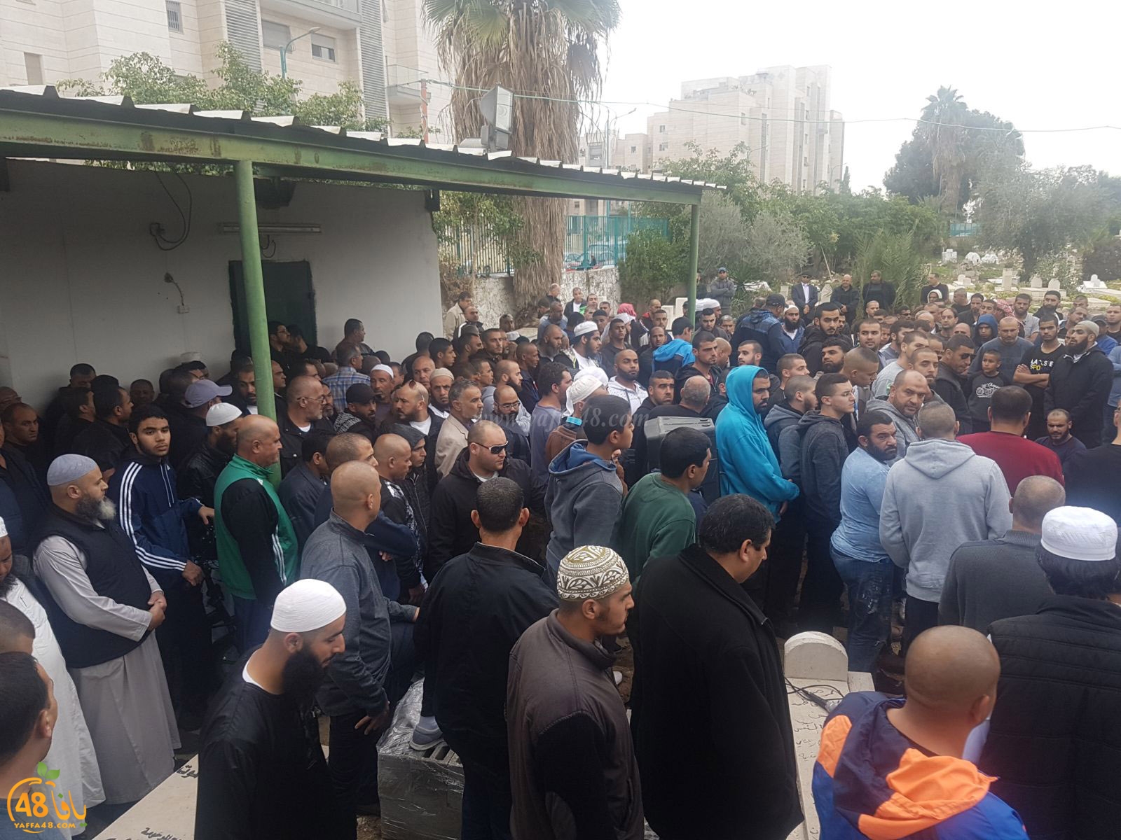 tasheeye3 om mhmoud (21).jpg